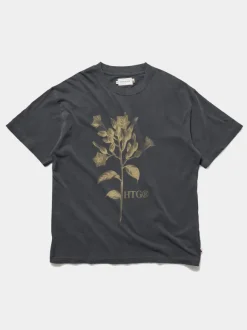 Tobacco Flower Ss Tee